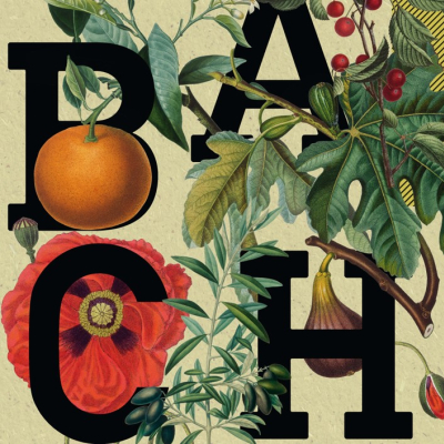 Bachbiennale Weimar 2021 3.jpg